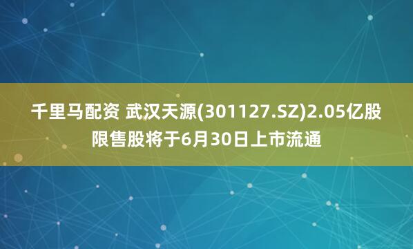 千里马配资 武汉天源(301127.SZ)2.05亿股限售股将于6月30日上市流通