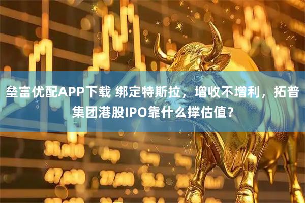垒富优配APP下载 绑定特斯拉，增收不增利，拓普集团港股IPO靠什么撑估值？